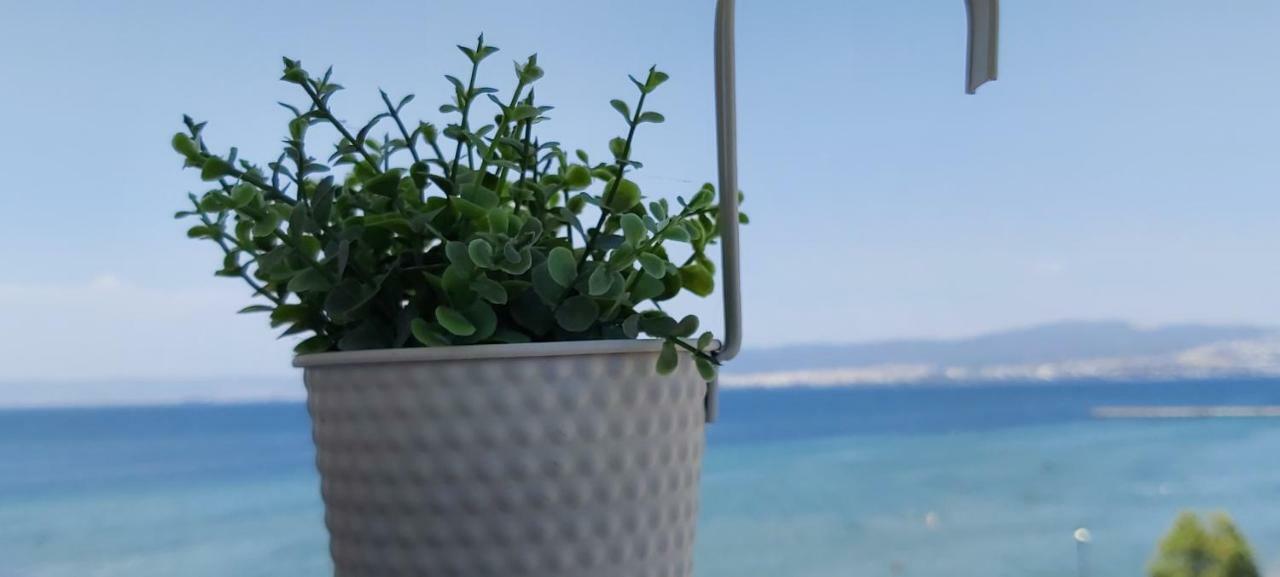 Sea View Perea Apartment Peraía Zewnętrze zdjęcie